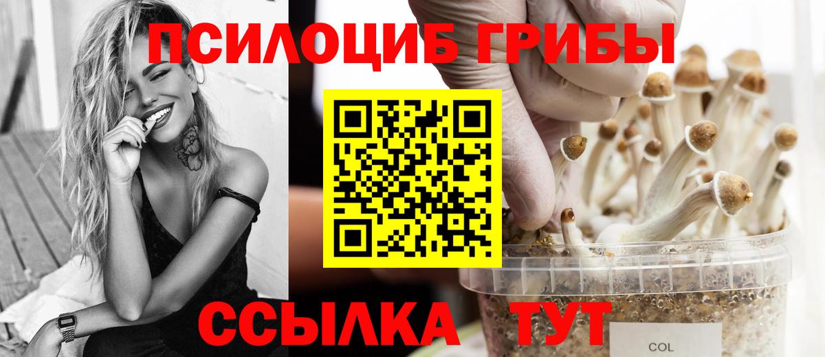 Галлюциногенные грибы GOLDEN TEACHER  Вход с VPN  Реж  Псилоцибиновые грибы GOLDEN TEACHER 